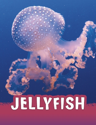 Jellyfish by Jaclyn Jaycox