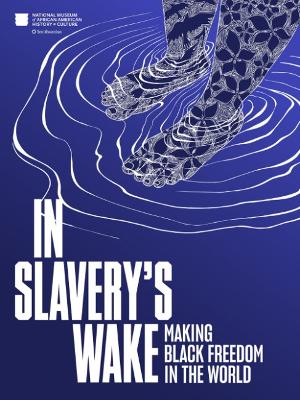 In Slavery's Wake: Making Black Freedom in the World book