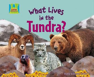 What Lives in the Tundra? book