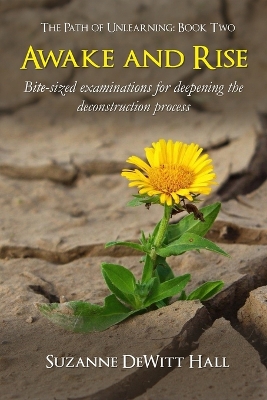 Awake and Rise: Bite-sized examinations for deepening the deconstruction process book