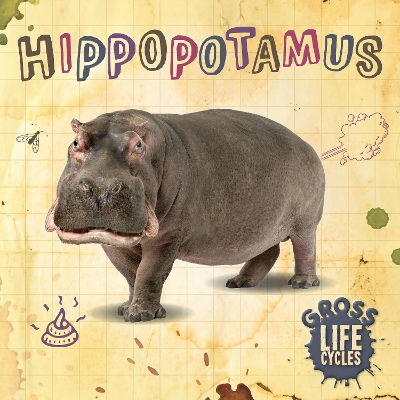 Gross Life Cycles: Hippopotamus book