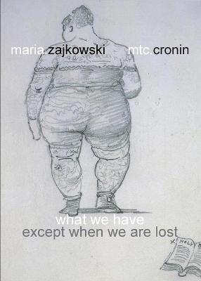 What We Have: Except When We Are Lost book