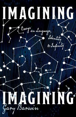 Imagining Imagining: Essays on Language, Identity and Infinity book