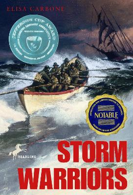 Storm Warriors book