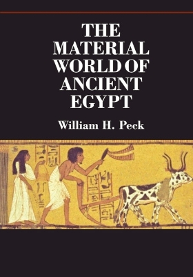 Material World of Ancient Egypt book