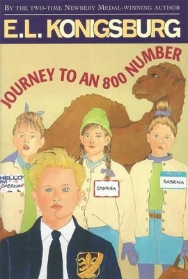 Journey to an 800 Number book