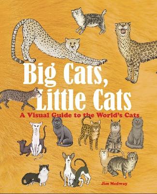 Big Cats, Little Cats book