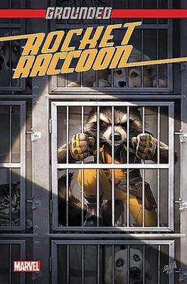 Rocket Raccoon: Grounded book