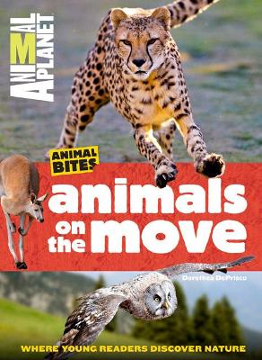 Animal Planet Animals on the Move book
