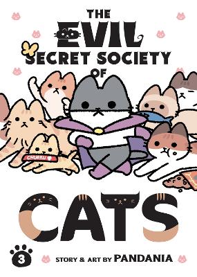 The Evil Secret Society of Cats Vol. 3 book