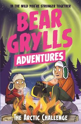 A Bear Grylls Adventure 11: The Arctic Challenge book