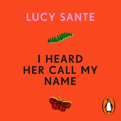 I Heard Her Call My Name: A memoir of transition by Lucy Sante