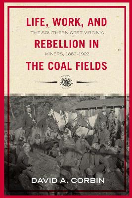 Life, Work, and Rebellion in the Coal Fields book