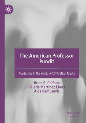 The American Professor Pundit: Academics in the World of US Political Media book