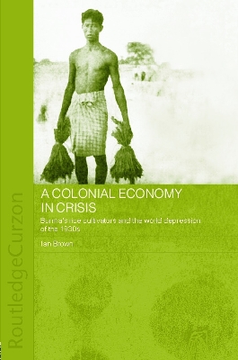 Colonial Economy in Crisis book