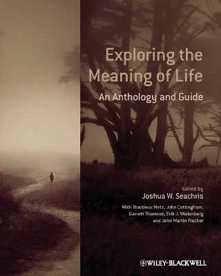 Exploring the Meaning of Life book