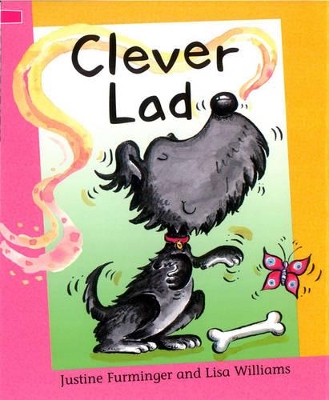 Clever Lad book