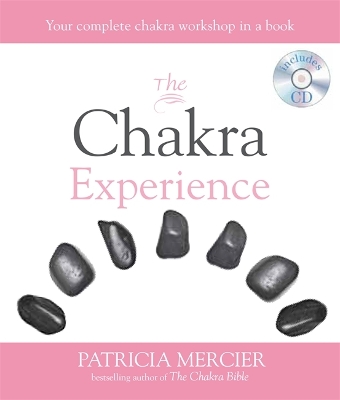 Chakra Experience book