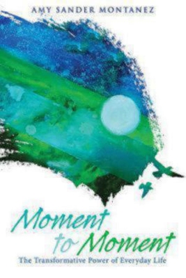 Moment to Moment book