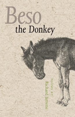 Beso the Donkey book