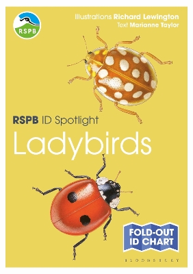 RSPB ID Spotlight - Ladybirds book