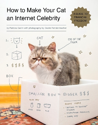 How To Make Your Cat An Internet Celebrity book