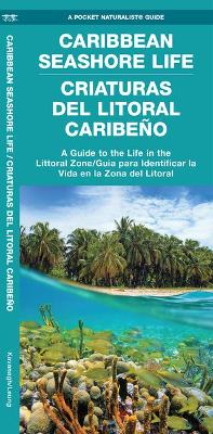 Caribbean Seashore Life (Criaturas del Litoral Caribeno): A Guide to the Life in the Littoral Zone (Bilingual) book