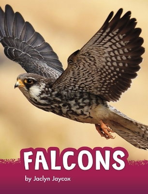 Falcons book