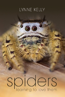 Spiders by Dr Lynne Kelly