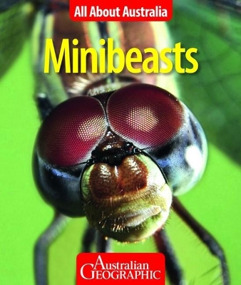 All About Australia: Minibeasts book
