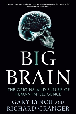 Big Brain book