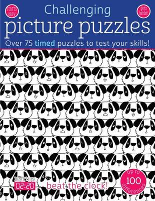 Challenging Picture Puzzles book