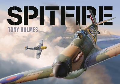 Spitfire book