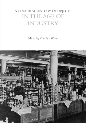 A Cultural History of Objects in the Age of Industry book