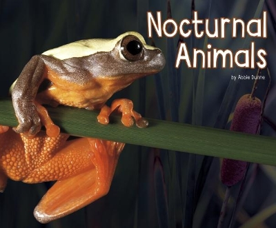 Nocturnal Animals book