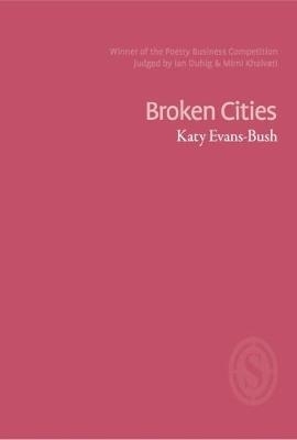 Broken Cities book