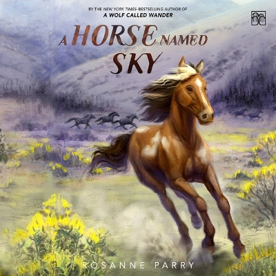 A Horse Named Sky book