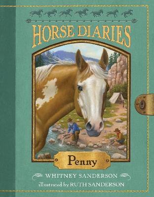 Horse Diaries #16: Penny book