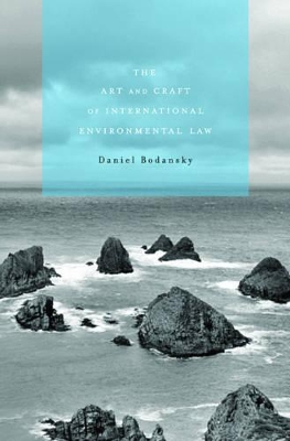 The Art and Craft of International Environmental Law by Daniel Bodansky
