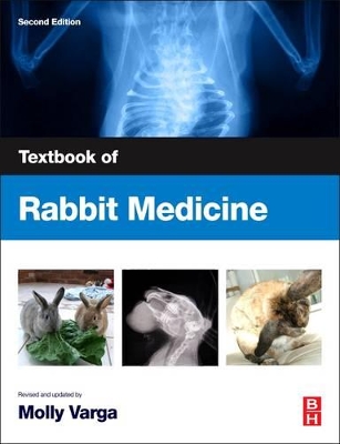 Textbook of Rabbit Medicine by Molly Varga Smith
