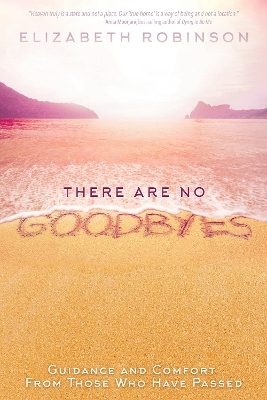 There Are No Goodbyes book