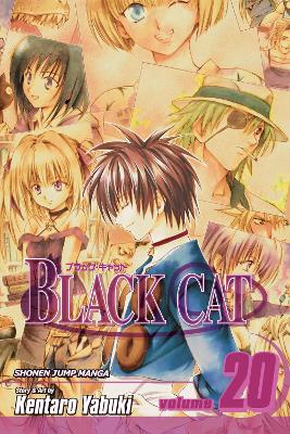 Black Cat, Vol. 20 book