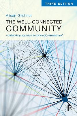 The Well-Connected Community: A Networking Approach to Community Development book