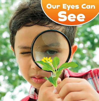 Our Eyes Can See by Jodi Lyn Wheeler-Toppen