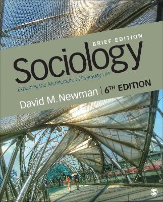 Sociology: Exploring the Architecture of Everyday Life, Brief Edition book