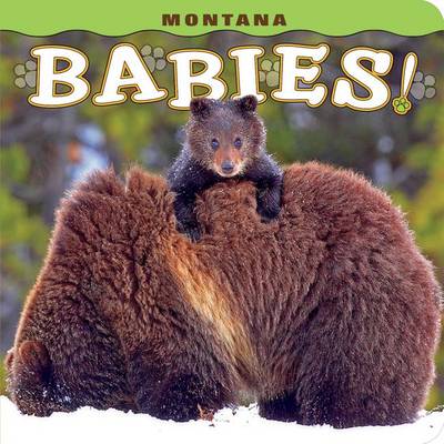 Montana Babies! book