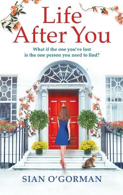 Life After You: A heart-warming Irish story of love, loss and family book