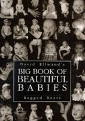 Big Book of Beautiful Babies book