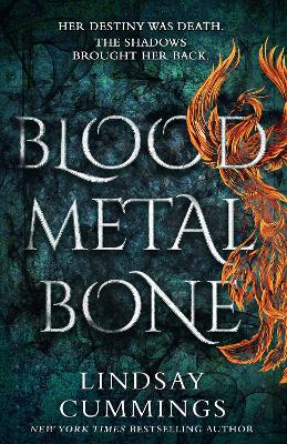 Blood Metal Bone book