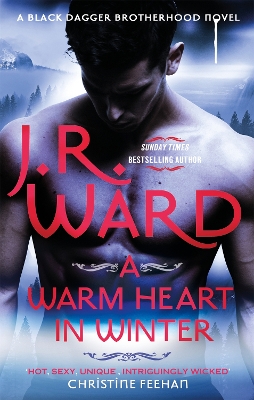 A Warm Heart in Winter by J. R. Ward